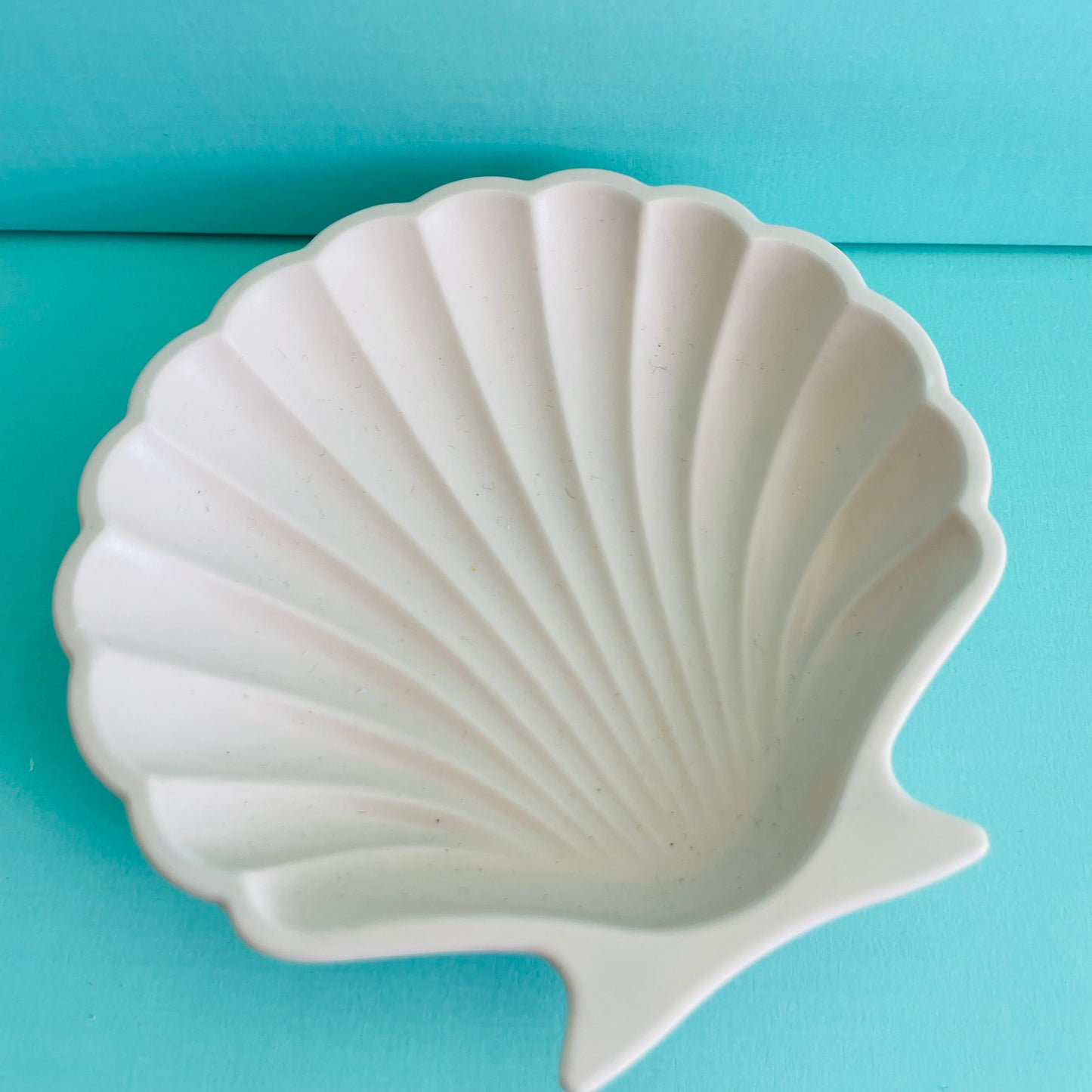 Clam Shell Tray (various colours)